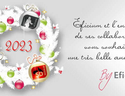 Très belle année 2023 !